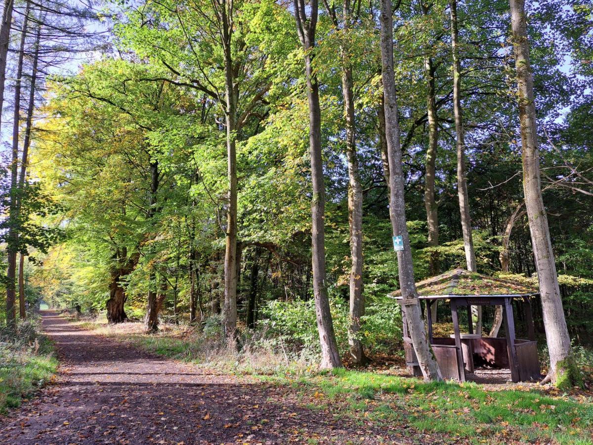 Steewer Landhaus Gemuetliche Ferienwohnung Bis 6 Pers In Ruhiger Ortsrandlage Stebach 외부 사진