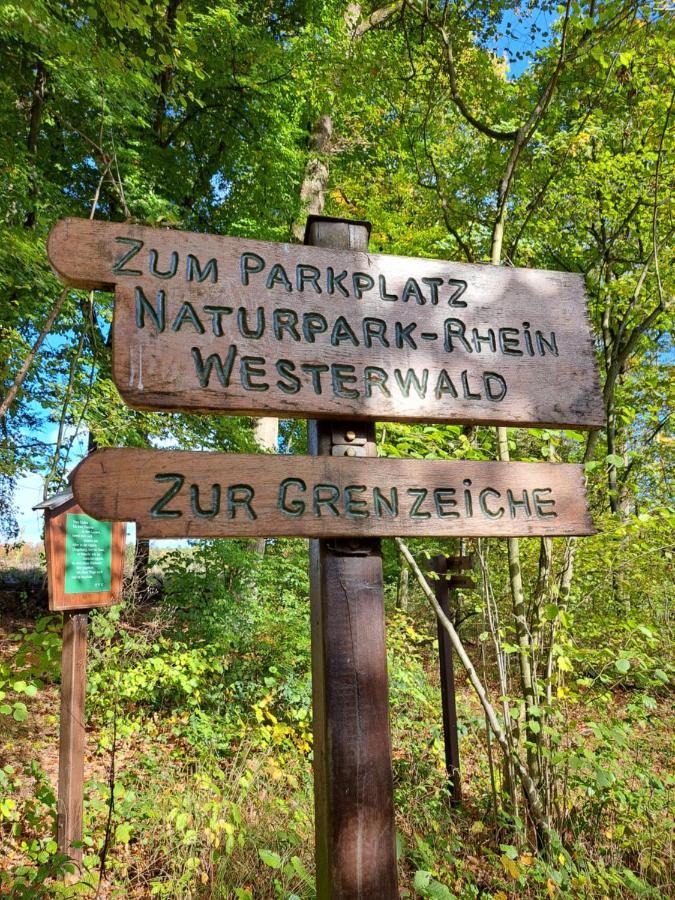 Steewer Landhaus Gemuetliche Ferienwohnung Bis 6 Pers In Ruhiger Ortsrandlage Stebach 외부 사진