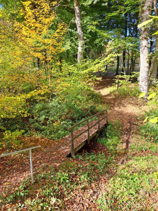 Steewer Landhaus Gemuetliche Ferienwohnung Bis 6 Pers In Ruhiger Ortsrandlage Stebach 외부 사진